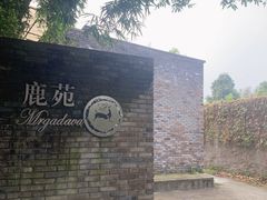 -鹿野苑石刻艺术博物馆