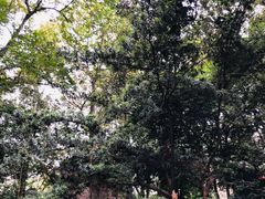 -四川大学(华西校区)