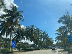 -海南分界洲岛旅游区