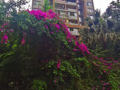 -重百超市(鲁能星城店)