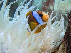 -太平洋海底世界