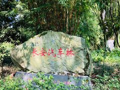 -邓小平故里