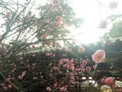 -七曲山风景区