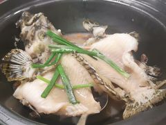酵素蒸石斑-ZF Seafood Restaurant 卓峰海鲜餐