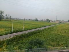 -红土地(地铁站)