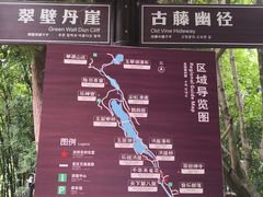 -洪崖丹井