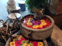 -中8楼风尚云南菜(颐堤港店)