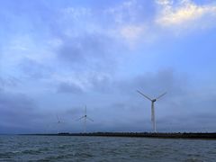 -上海长兴岛郊野公园