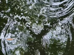 -广州兰圃