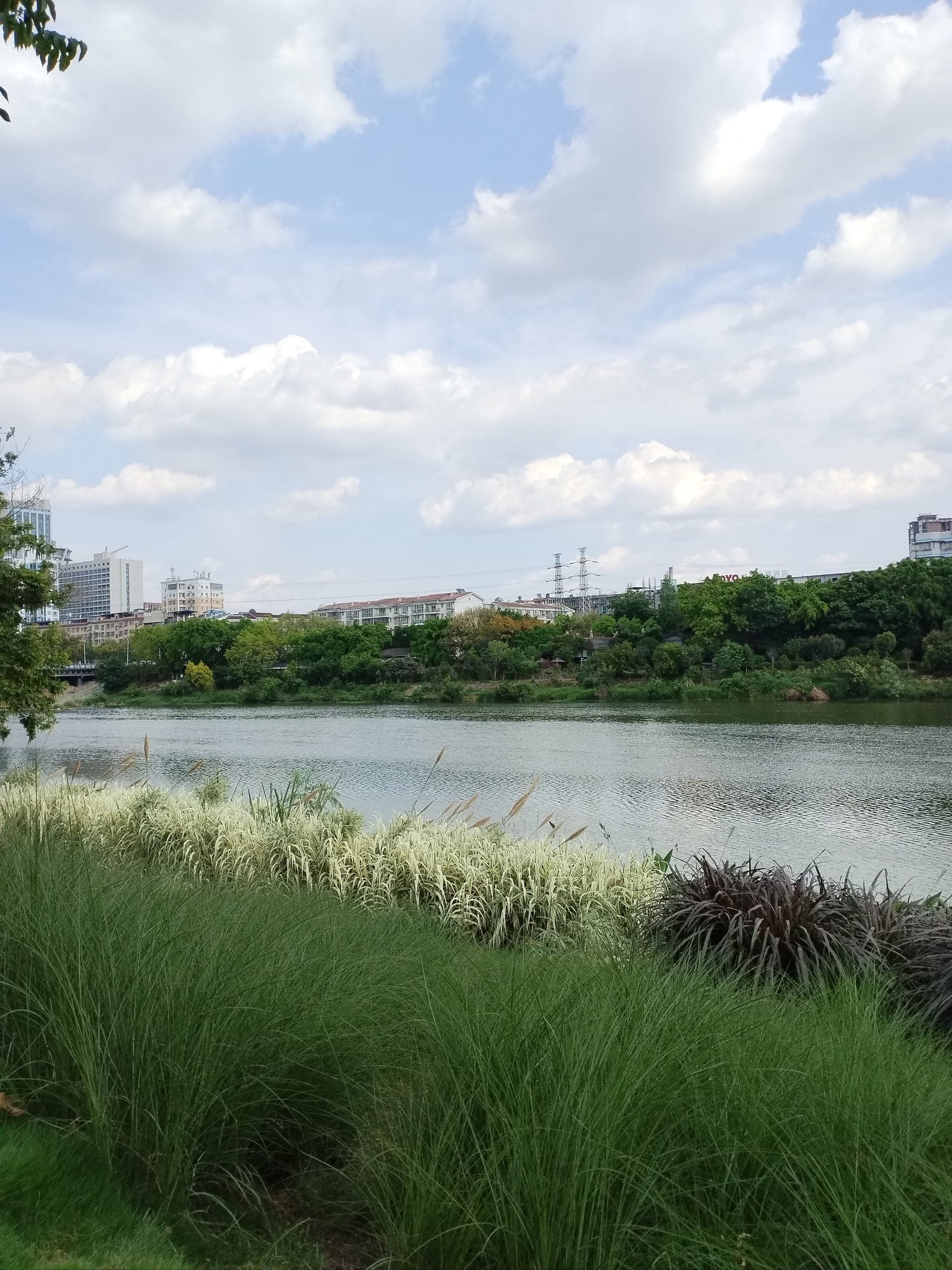 绵阳三江湿地公园