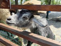 -泗洪洪泽湖湿地景区