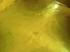 -春晖园度假酒店温泉