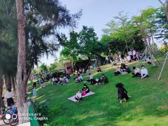 -宝安西湾红树林湿地公园