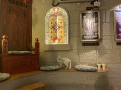 -逃脱反斗城沉浸剧情密室(北京路店)