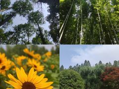 -同里国家湿地公园