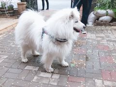 -叁秋咖啡 SANQIU COFFEE(天津河北路店)