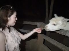 -清迈夜间动物园
