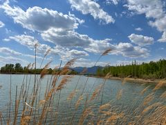 -野鸭湖国家湿地公园
