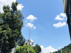 -深圳少年儿童图书馆