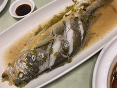 大黄鱼雪菜蒸-高佳庄·舟山海鲜(海景旗舰店)