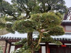 -径山寺