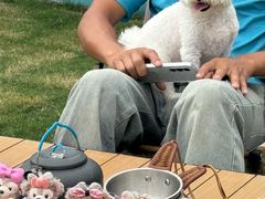 -趣玩宠物乐园寄养训犬训狗游泳池