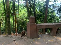 -峨眉山风景名胜区
