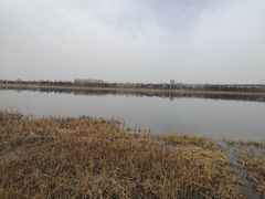 -绿堤公园