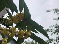 -龙潭水乡