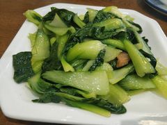 香菇青菜-老马家·舌尖上的西塘美食