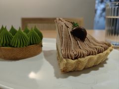 -猫里有甜