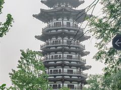 -洋湖国家湿地公园