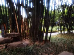 -望江楼公园