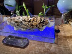 -丽彩天祺酒店-自助餐厅