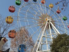 -长乐公园游乐场