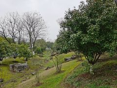 -白马涧龙池景区