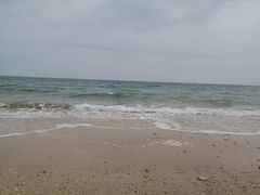 -北海金海湾红树林生态旅游区