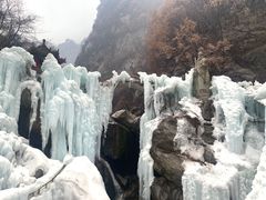 -陕西省红河谷森林公园