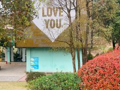 -铁山坪森林公园