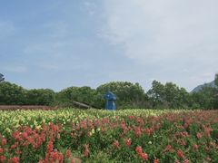 -广州市流溪河国家森林公园