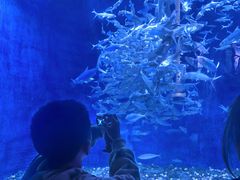 -成都浩海立方海洋公园