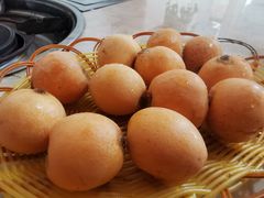 -蘑统田下·野生菌火锅