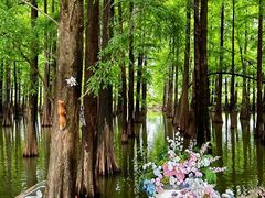 -星湖旅游景区七星岩