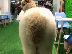 -武汉5D星空错觉艺术馆(中心百货店)