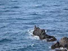 -龙头岩(Dragon Head Rock)