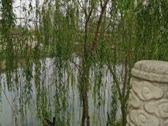 -西安汉城湖景区