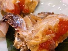 -渔娘渔家丹东海鲜(东直门店)