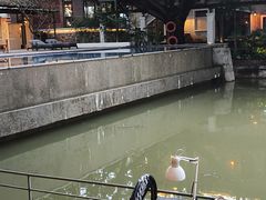 -喜洲吧·江畔老船厂·庭院餐厅(喜临院店)