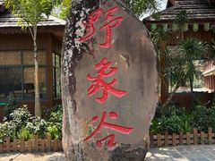 -野象谷景区