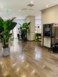 -崇尚GAVIN STYLE臻选